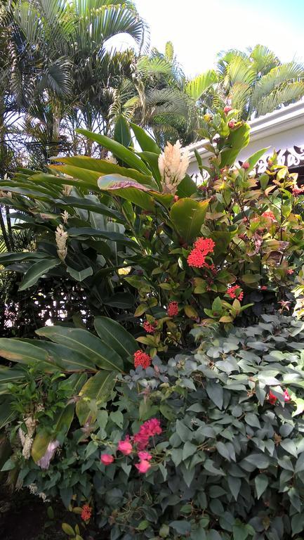 Cap Martinique Villa Sainte-Anne Luaran gambar